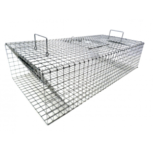 pigeon trap best animal traps