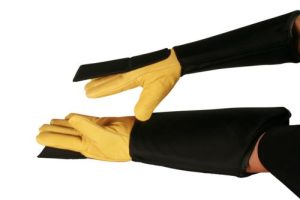rabies gloves