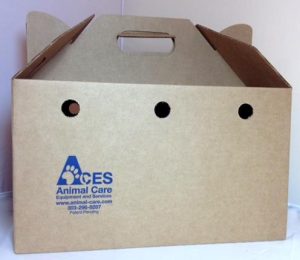 cat carrier without door