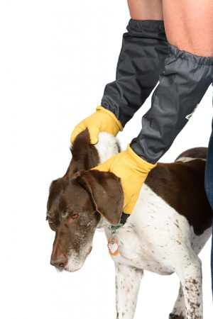 man wearing critter gloves handling dog