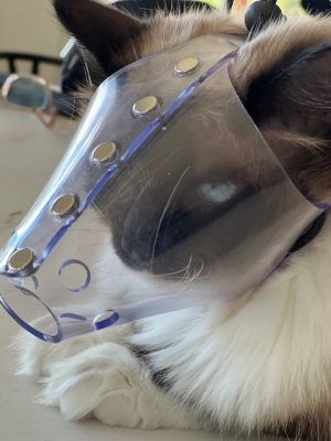 Jafco Cat Muzzles