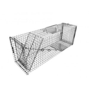 TH-NC 36d trap