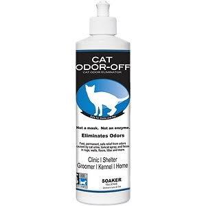 cat odor off