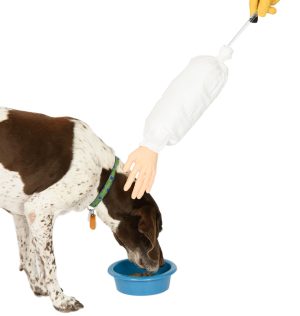 helping-hand