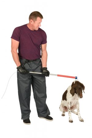 ketch-all catch pole dog catch pole for sale