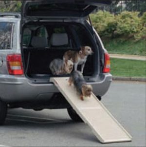 Pet step ramp