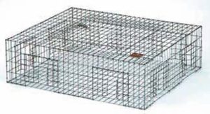safe guard pigeon trap - best animal traps