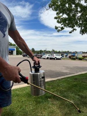 Pump Up Sprayer
