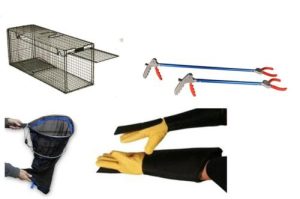 wildlife start up kit